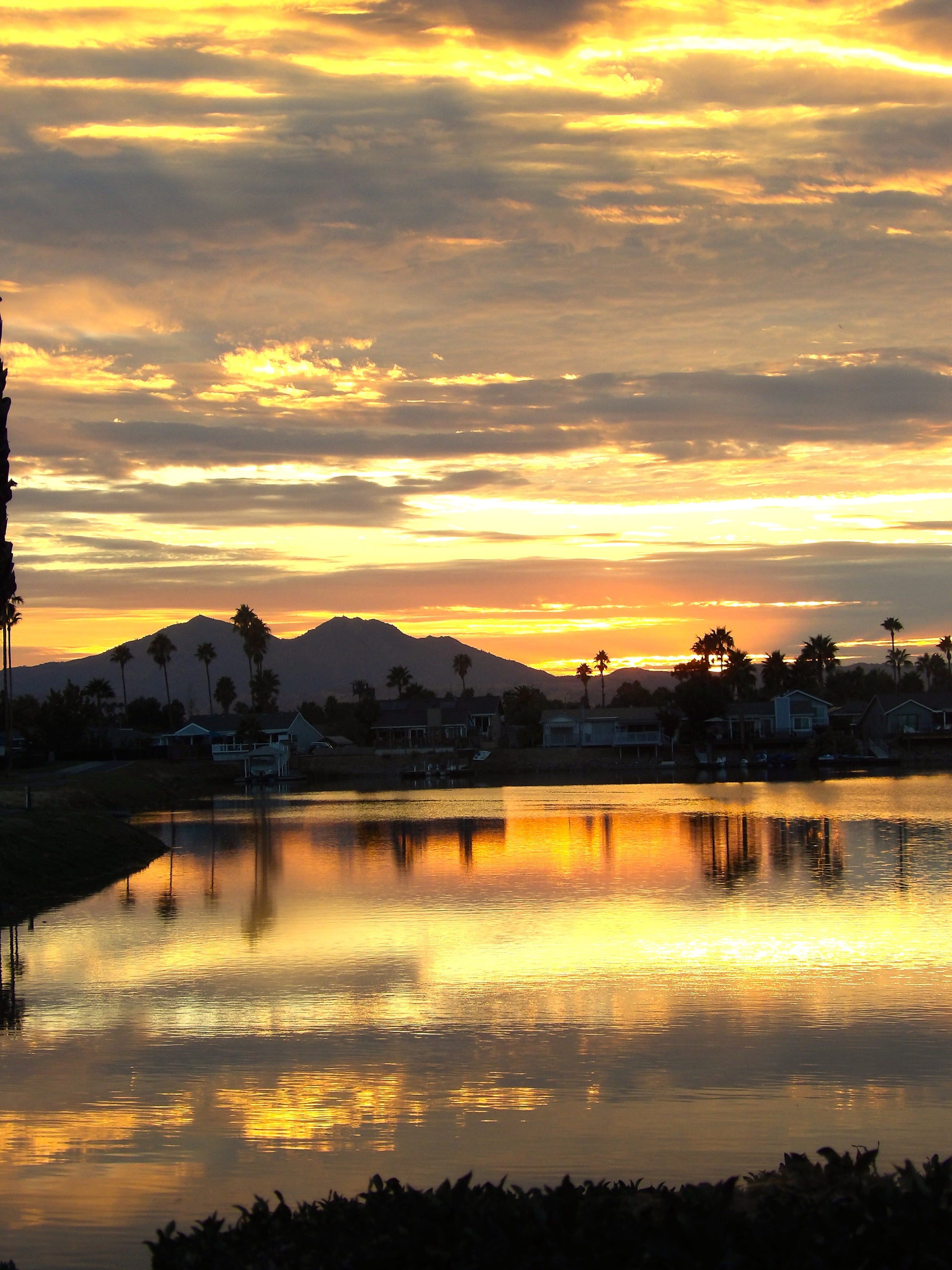 Golden Reflections
