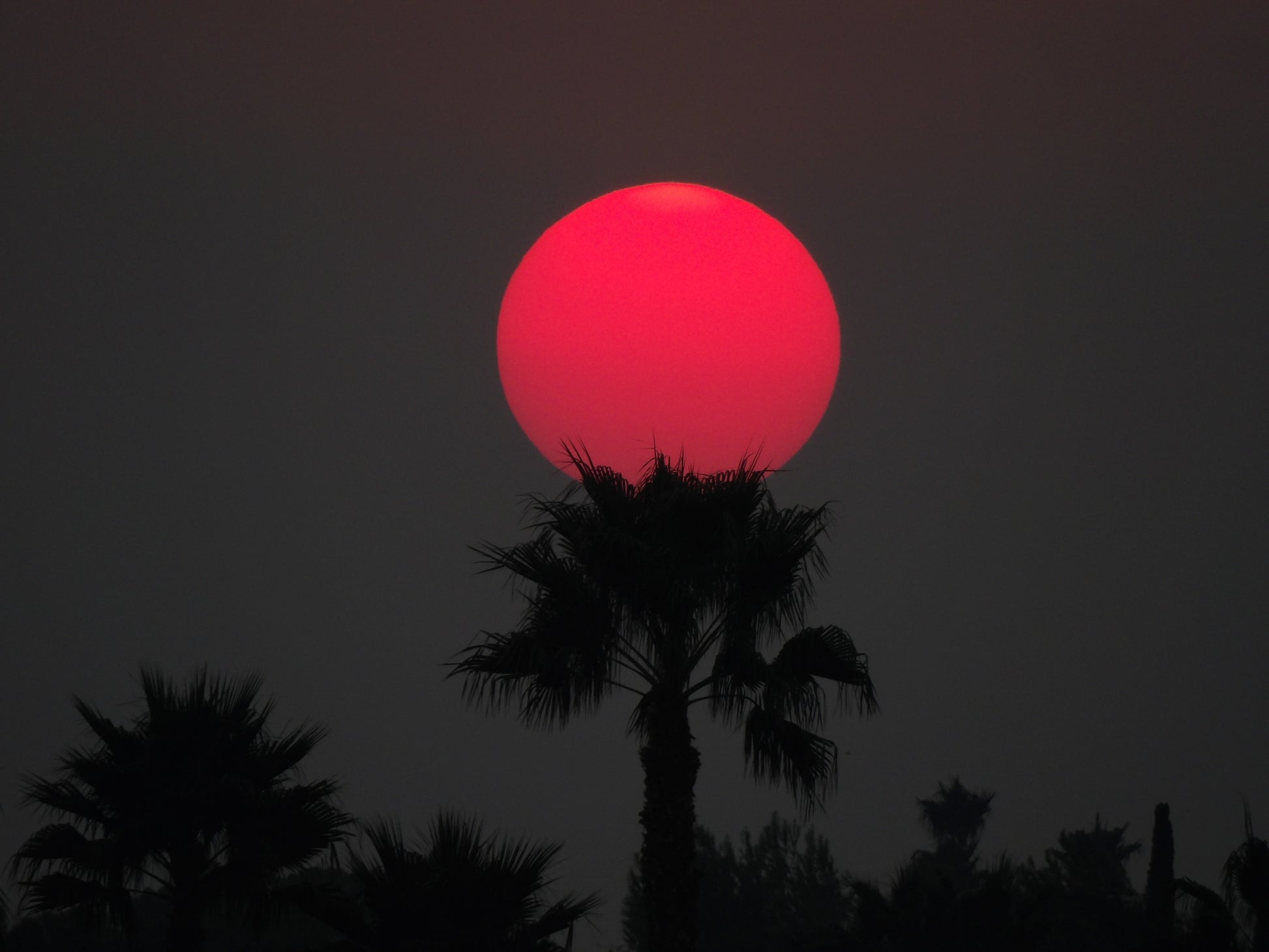Smoky Sunset